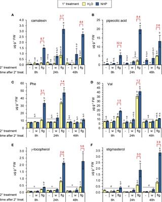 N-hydroxypipecolic acid primes plants for enhanced microbial pattern-induced responses